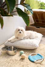 Load image into Gallery viewer, Have a Ball Felt Trio Set