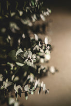 Load image into Gallery viewer, 1 Hotels Signature Kindling Candle